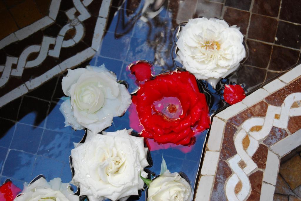 里亚德摩洛哥传统庭院住宅 马拉喀什 外观 照片 Roses at the fountain